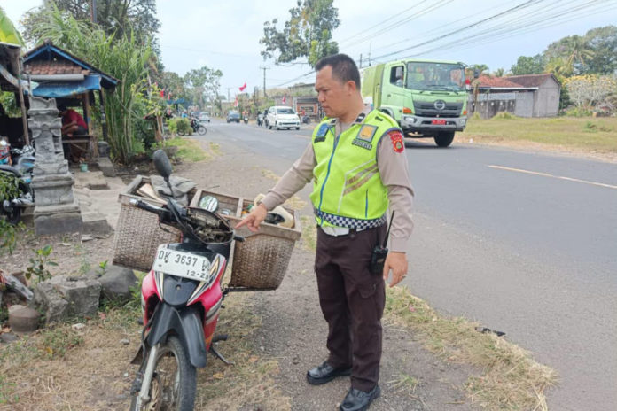Terjerat Kabel Wifi Menjuntai, Petani Nira Di Jembrana Patah Kaki 1
