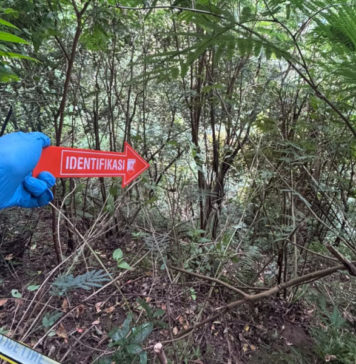Tokoh Adat Desa Subaya Ditemukan Meninggal di Jurang
