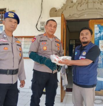 Trenggiling Diselamatkan di Pantai Anturan Diserahkan ke BKSDA