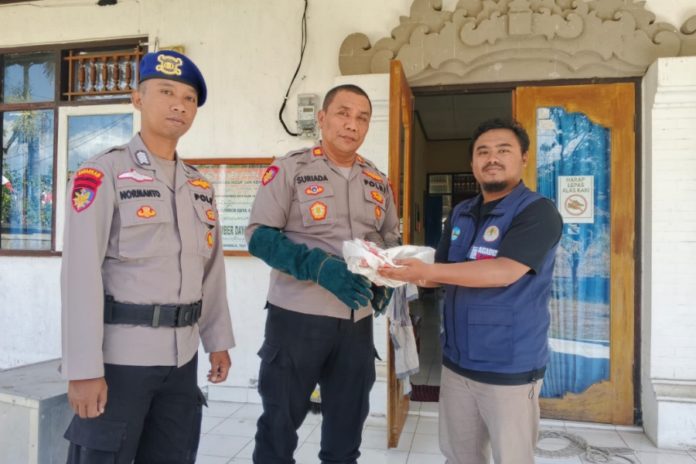 Trenggiling Diselamatkan Di Pantai Anturan Diserahkan Ke BKSDA 1