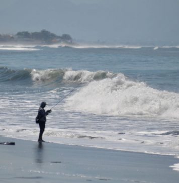 Waspada, Gelombang hingga 4 Meter Ancam Perairan Bali hingga 4 September