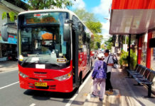 Wujudkan Pembangunan Berkelanjutan, Transportasi Umum Bali Jadi Investasi Jangka Panjang