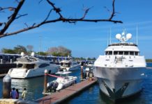 Digelar di Benoa, Yacht Festival 2026 Dorong Pengembangan Pariwisata Bahari Berkualitas