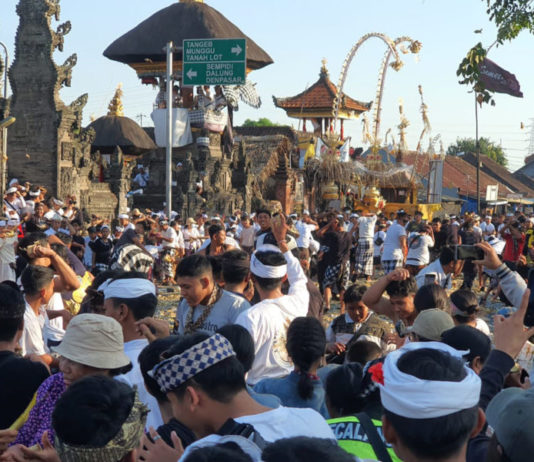 Aci Tabuh Rah Pengangon di Desa Kapal, Lalin di Jalan Raya Kapal Dialihkan