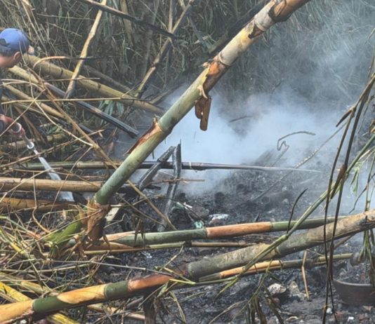 Akibat Bakar Sampah, Rumpun Bambu di Jalan Sriwedari Ubud Terbakar