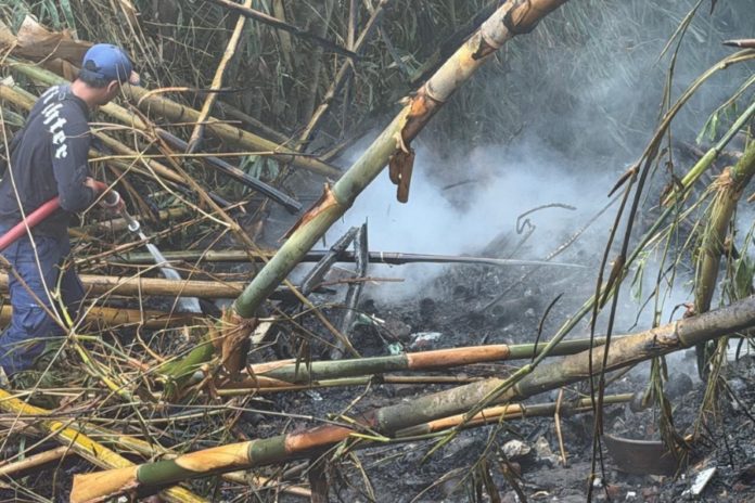 Akibat Bakar Sampah, Rumpun Bambu Di Jalan Sriwedari Ubud Terbakar 1