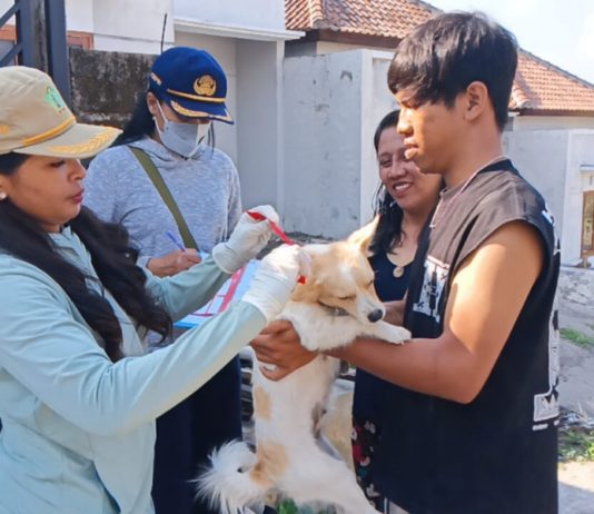 Anak Anjing Gigit Warga di Baler Bale Agung Positif Rabies