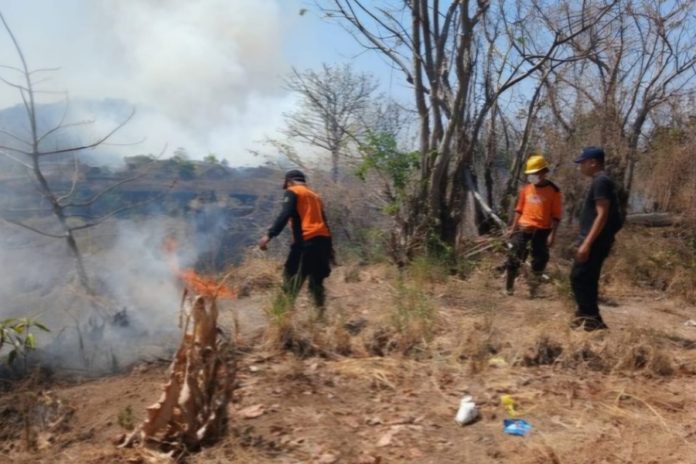 Antisipasi Kebakaran Lahan, Warga Diminta Tak Lakukan Pembakaran Dan Buang Puntung Rokok Sembarangan 1