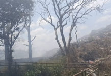 Asap Masih Mengepul di TPA Mandung, Kesehatan Pegawai UPTD dan Warga Dikhawatirkan Terdampak