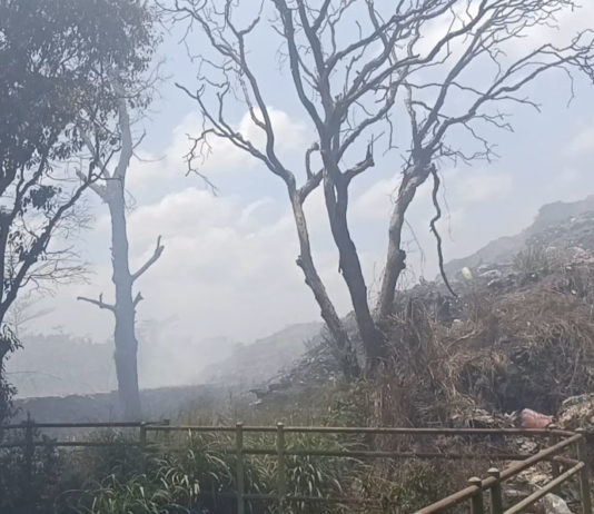 Asap Masih Mengepul di TPA Mandung, Kesehatan Pegawai UPTD dan Warga Dikhawatirkan Terdampak