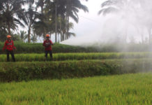 Atasi Kekeringan Enam Subak di Petang, Pemkab Badung Siapkan Pembangunan Sumur Bor