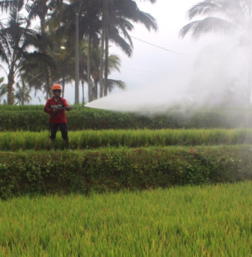 Atasi Kekeringan Enam Subak di Petang, Pemkab Badung Siapkan Pembangunan Sumur Bor MANGUPURA, BALIPOST.com – Pem