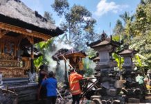 Bakar Sampah Pohon Kering, Atap Sanggah Kemulan di Payangan Hangus Terbakar