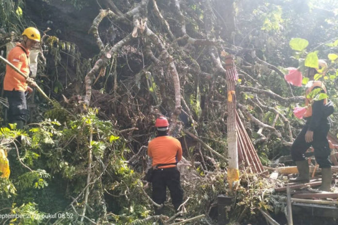 Bencana Landa Dua Pura Di Kecamatan Selat 1
