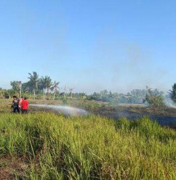 Cuaca Panas, Damkar Gianyar Tangani Dua Titik Kebakaran Lahan