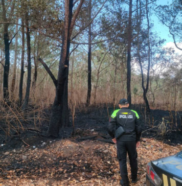 Diduga Akibat Puntung Rokok, Hutan TWA Gunung Batur Terbakar