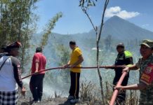 Diduga Dipicu Api Dupa, Lahan di Suter Terbakar