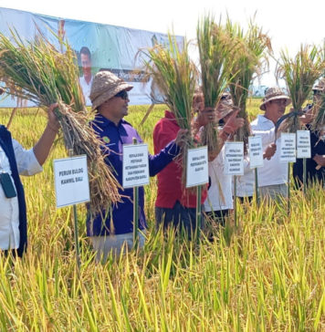 Dinas Pertanian Gianyar Incar Penerapan Teknologi PM-AAS Seluas 100 hektare di Jembrana