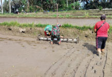 Dorong Pertanian Modern, Pemkab Gianyar Uji Coba PMAAS di Subak Tuali Payangan