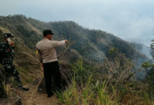 Empat Hektare Hutan di Subaya Terbakar