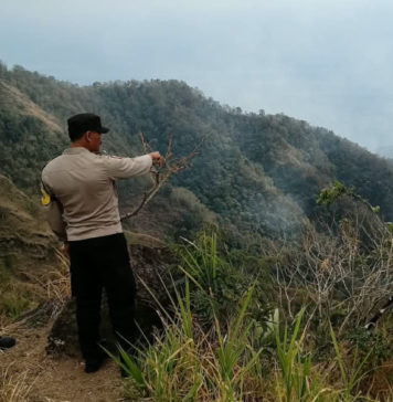 Empat Hektar Hutan di Subaya Terbakar