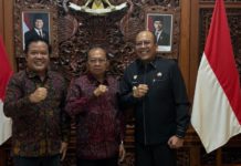 Gubernur Koster Pastikan PLTS 1 MW di Bangli dan Karangasem Segera Dikelola PLN Bali