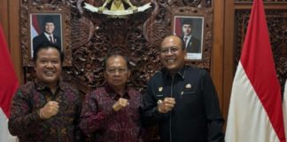 Gubernur Koster Pastikan PLTS 1 MW di Bangli dan Karangasem Segera Dikelola PLN Bali
