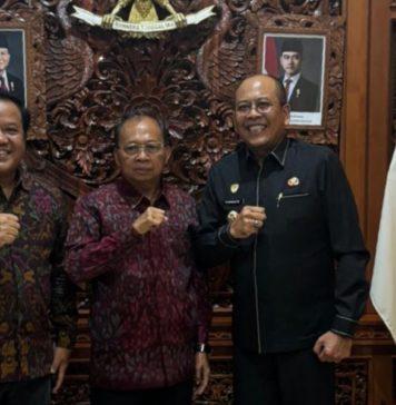Gubernur Koster Pastikan PLTS 1 MW di Bangli dan Karangasem Segera Dikelola PLN Bali