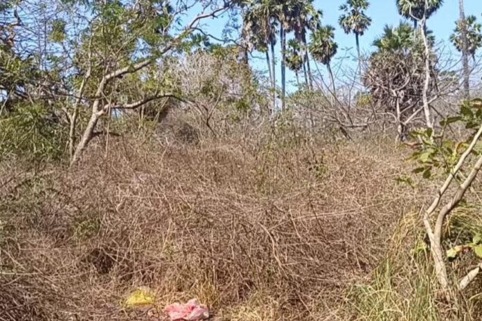 Hektaran Kawasan TNBB Masuk Zona Merah Kebakaran Hutan 1