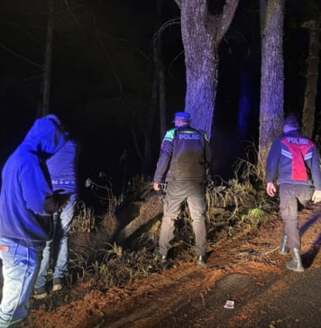 Hutan di Sukawana Terbakar Dini Hari