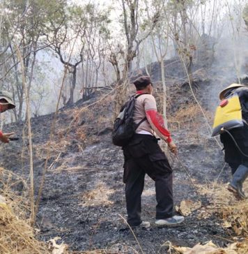 Kebakaran Hutan di Perbukitan Desa Musi Buleleng, Tim Gabungan Berjibaku Padamkan Api