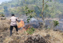 Kebakaran Hutan Konservasi di Kintamani Merembet ke Lahan Warga