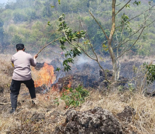 Kebakaran Hutan Konservasi di Kintamani Merembet ke Lahan Warga