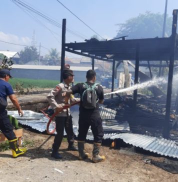 Kebakaran Melanda Bedeng Proyek Hotel di Peliatan Ubud
