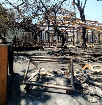 Kemarau Panjang, Ratusan Kebakaran Gedung dan Permukiman Terjadi di Bali