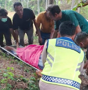 Tabrak Pembatas Jembatan Yehbakung, Truk Kontainer Jatuh ke Sungai