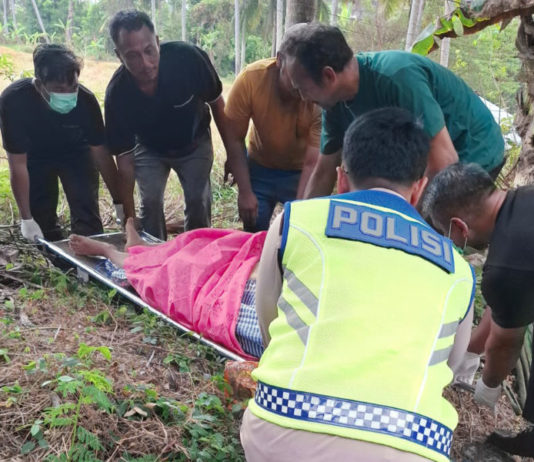 Kontainer Jatuh ke Sungai di Jembatan Yehbakung, Polisi Evakuasi Korban
