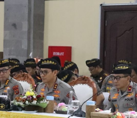 Kunker di Bali, Komisi III DPR Soroti 161 Kasus Pidana Libatkan WNA