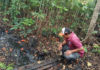 Tuai Sorotan di Medsos, Limbah Diduga Hasil Pembakaran Insinerator Dibuang ke Sungai Cemagi