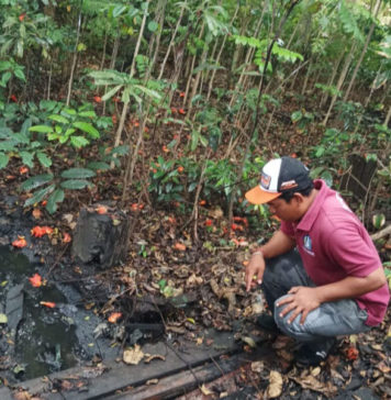 Limbah Diduga Hasil Pembakaran Incinerator Dibuang ke Sungai Cemagi Tuai Sorotan di Medsos