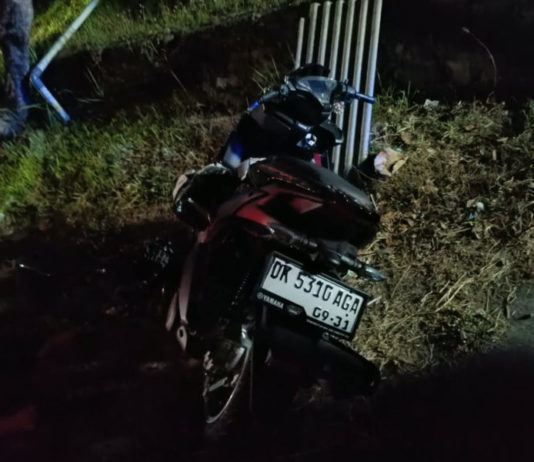 Niat Nyalip Truk Berujung Maut, Pemotor Asal Denpasar Tewas di Mendoyo