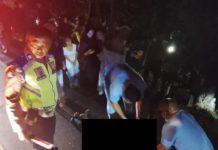 Oleng, Pemotor Tewas Usai Tabrak Truk di Kerambitan