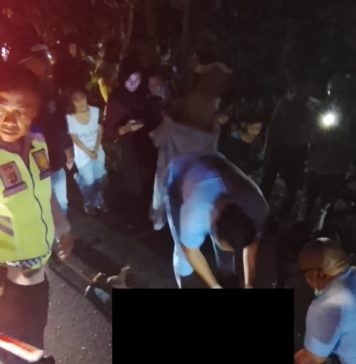 Oleng, Pemotor Tewas Usai Tabrak Truk di Kerambitan