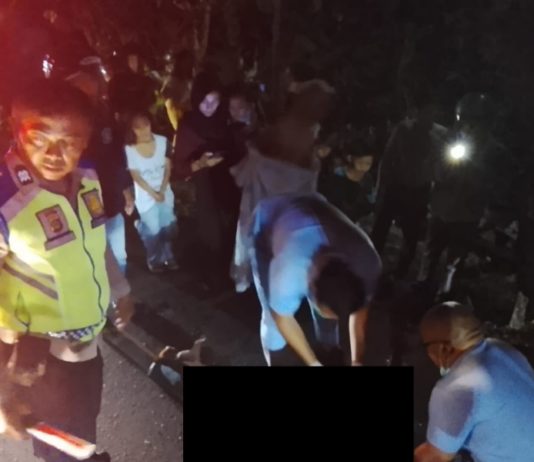 Oleng, Pemotor Tewas Usai Tabrak Truk di Kerambitan