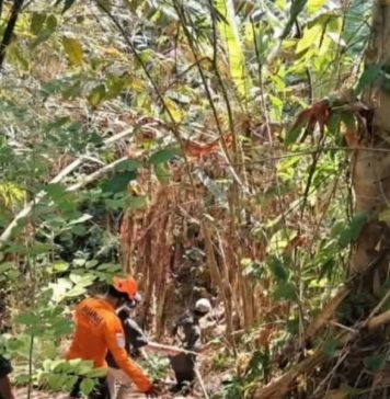 Pamitan Pergi ke Ladang, Lansia Ditemukan Dekat Sungai Usai Hilang Sehari