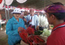 Pasar Rakyat PKK Provinsi Bali Diserbu Pembeli, Transaksi Mencapai Ratusan Juta Rupiah