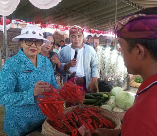 Pasar Rakyat PKK Provinsi Bali Diserbu Pembeli, Transaksi Mencapai Ratusan Juta Rupiah