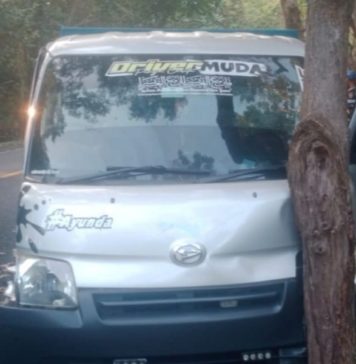 Pikap Tabrak Pohon Usai Tersenggol Bus di Jalan Denpasar-Gilimanuk