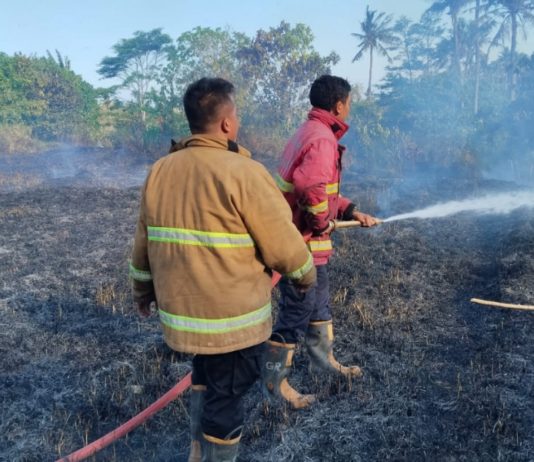 Puluhan Are Lahan Ilalang Terbakar di Lebah Keramas