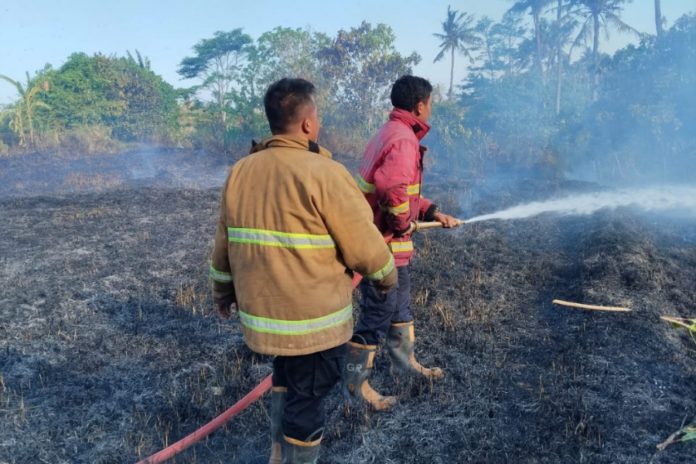 Puluhan Are Lahan Alang Alang Terbakar Di Lebah Keramas 1